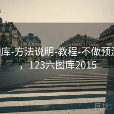 123图库-方法说明-教程-不做预测承诺，123六图库2015