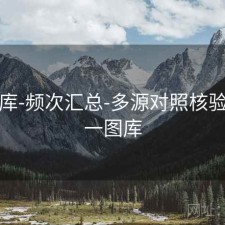 49图库-频次汇总-多源对照核验，49一图库